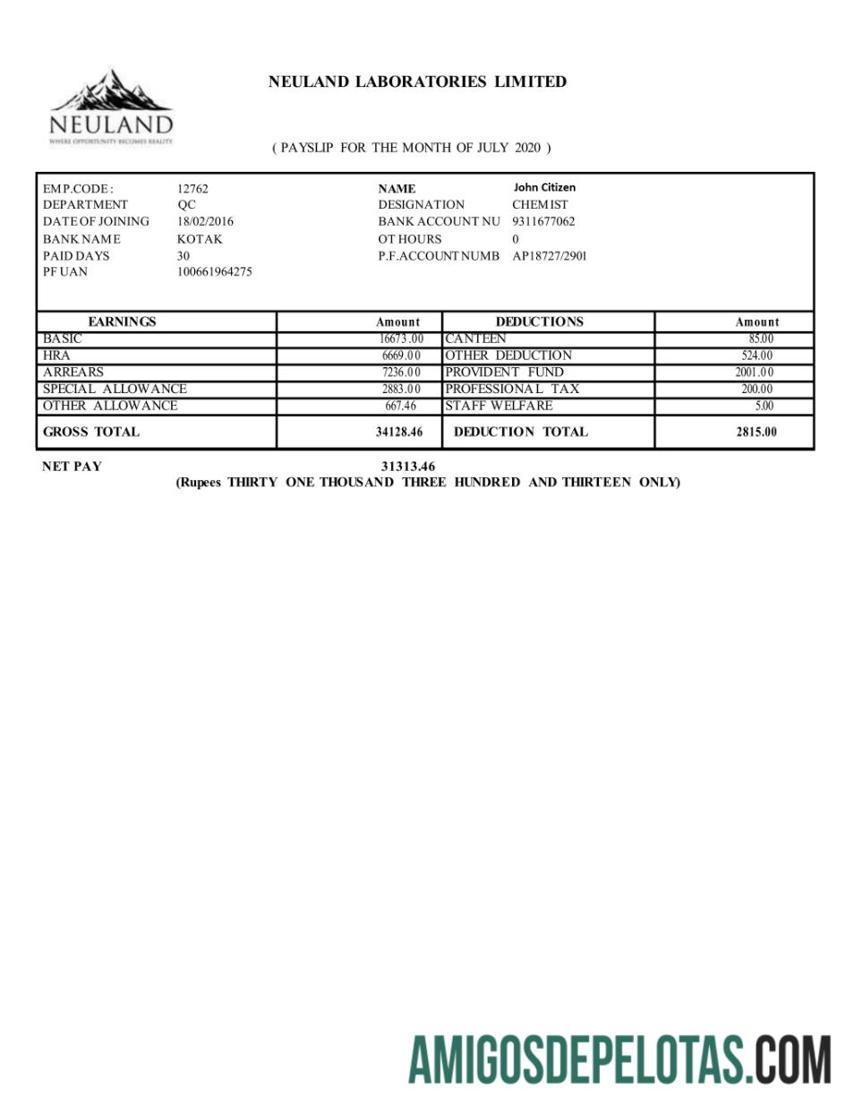INDIA NEULAND Laboratories Limited em formatos Word e PDF modelo